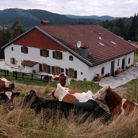 Appartement La Timoniere Gérardmer Eksteriør bilde