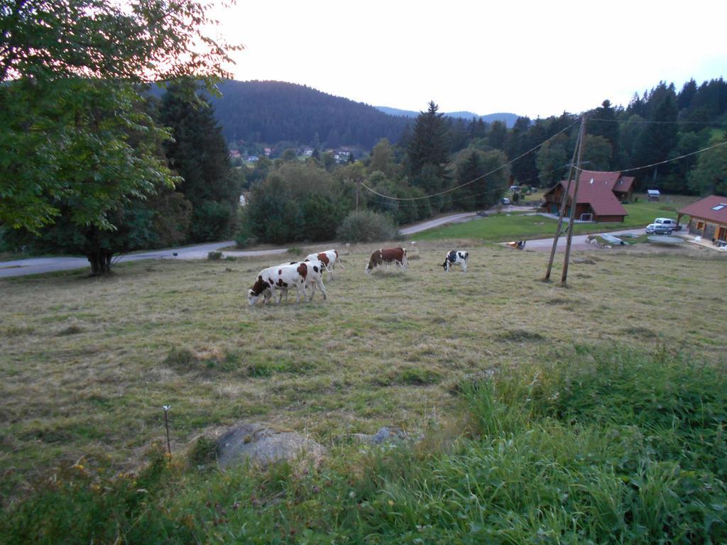 Appartement La Timoniere Gérardmer Eksteriør bilde