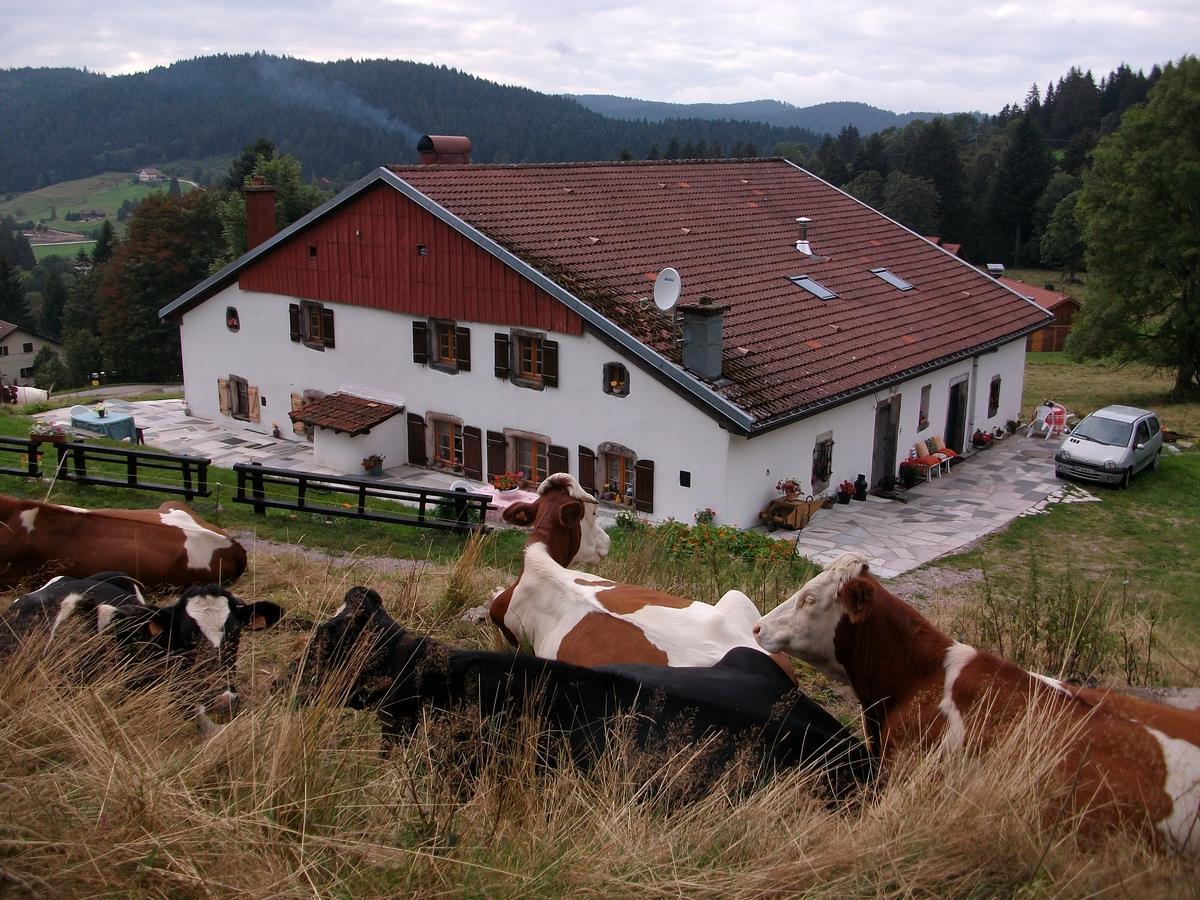 Appartement La Timoniere Gérardmer Eksteriør bilde