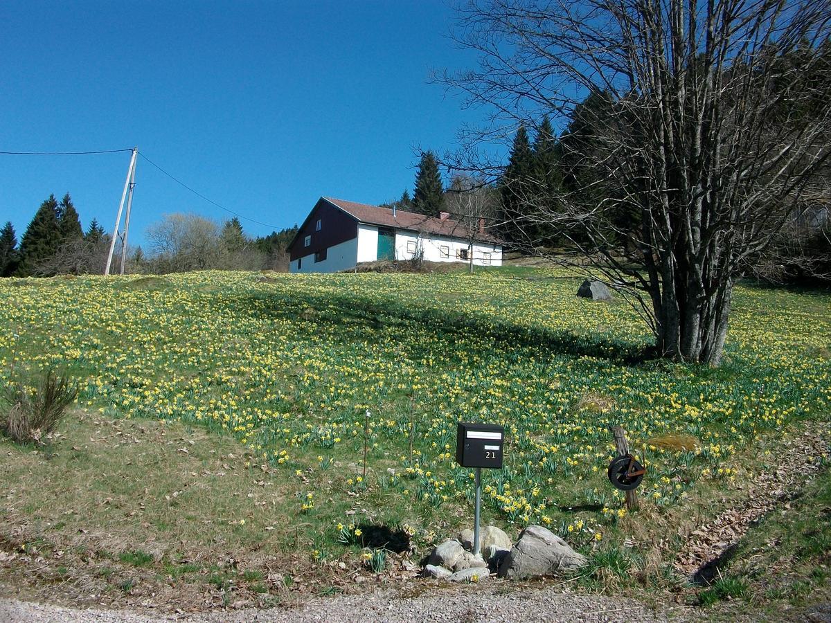 Appartement La Timoniere Gérardmer Eksteriør bilde