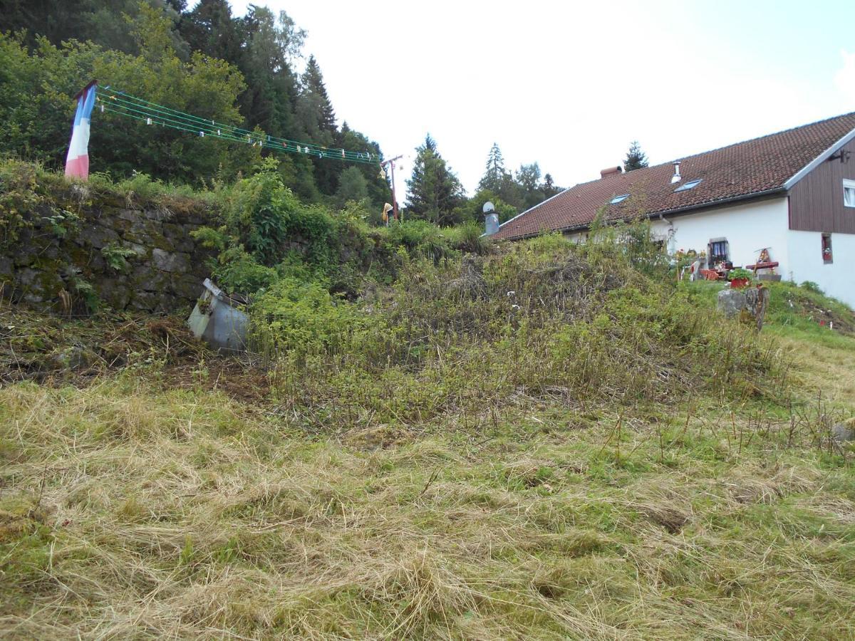 Appartement La Timoniere Gérardmer Eksteriør bilde