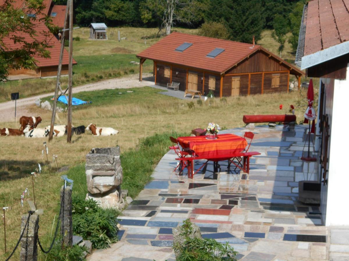 Appartement La Timoniere Gérardmer Eksteriør bilde